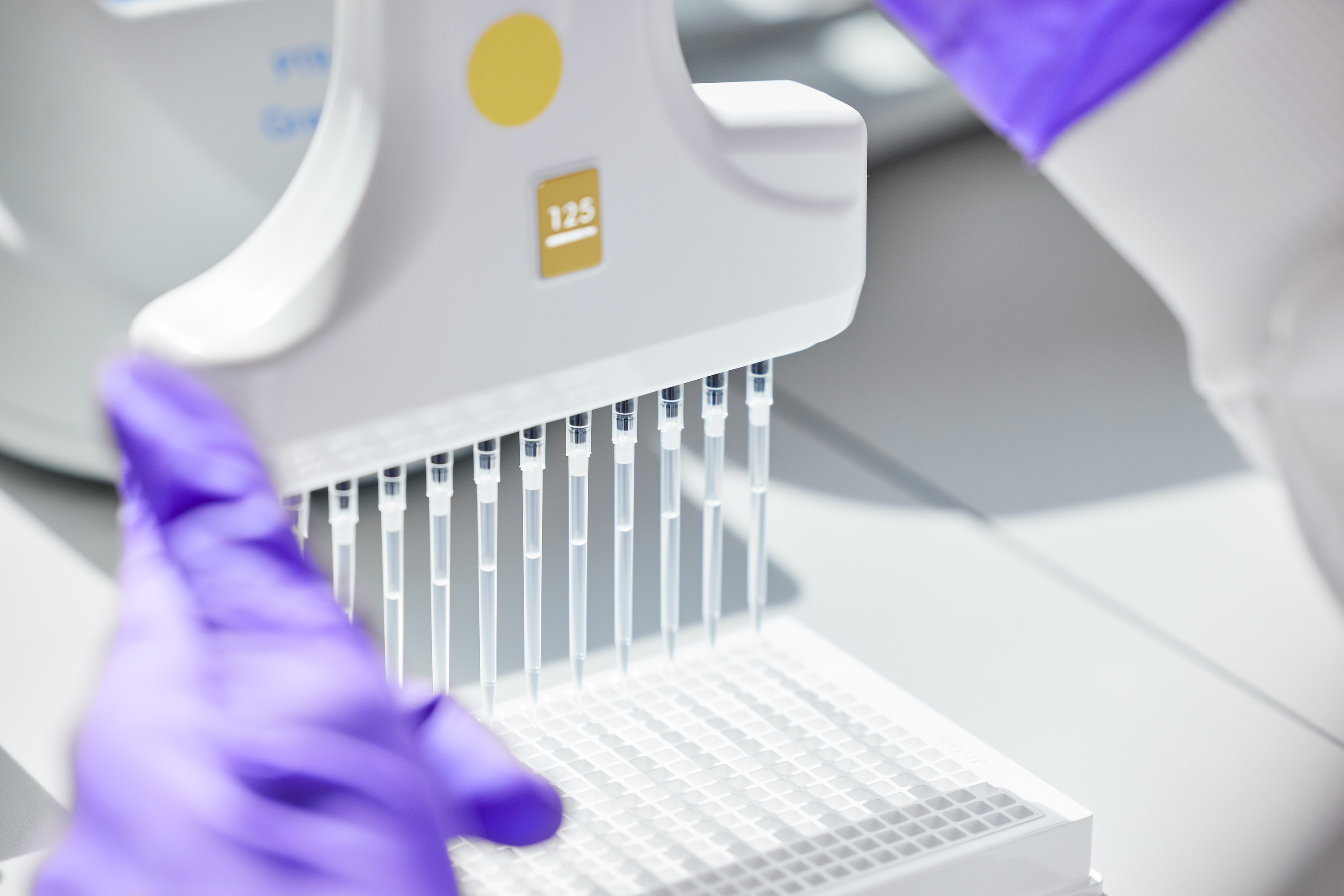 Bicycle Press Release